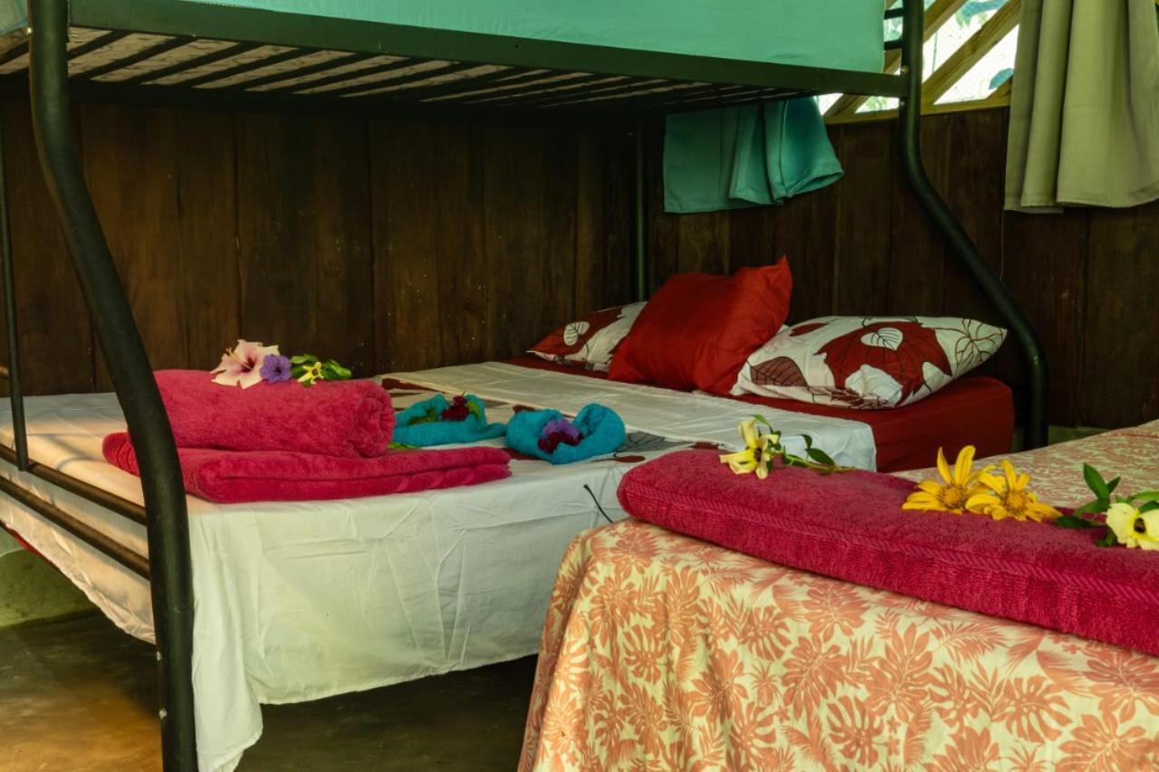 Los Paniquines Ecolodge Drakes Bay Kültér fotó